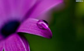 images-10.jpg