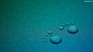 images-12.jpg
