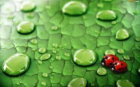 images-16.jpg