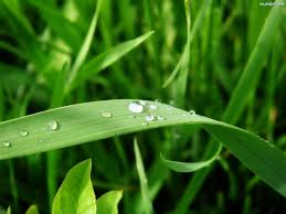 images-19.jpg