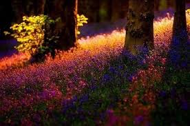 images-9.jpg