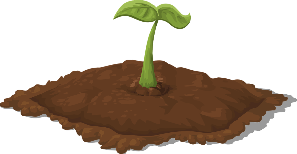 plants-576558_1280.png